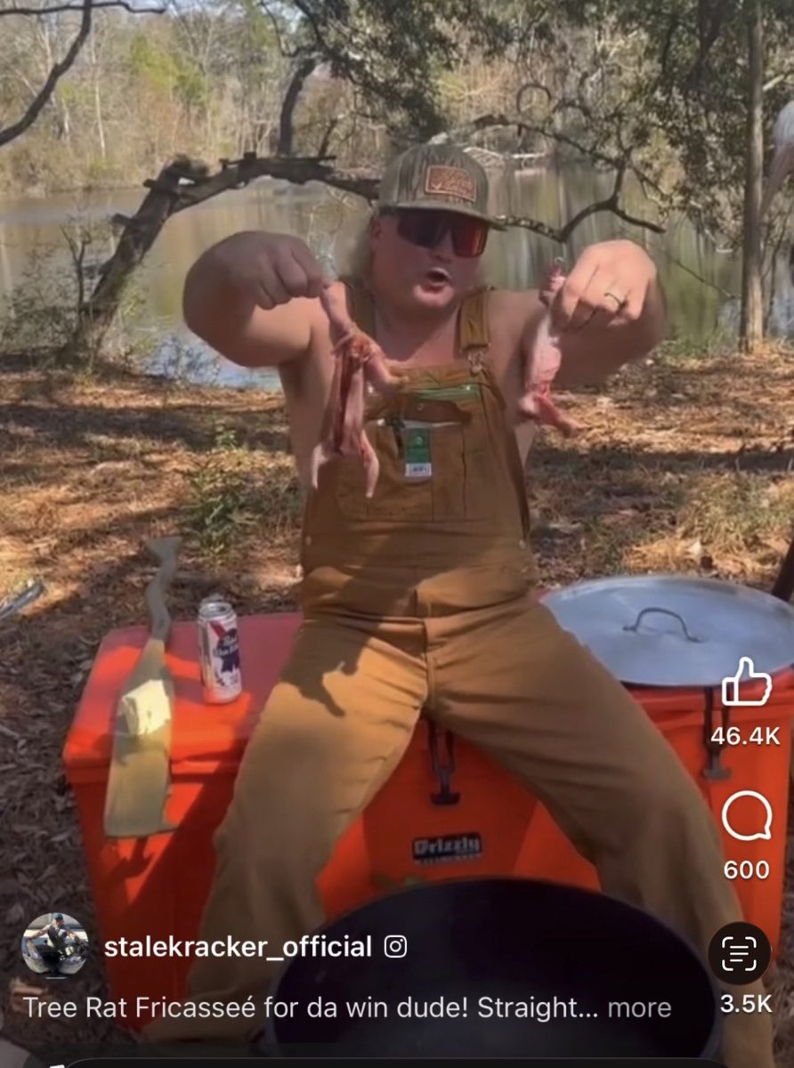 AngelaKae tweet media