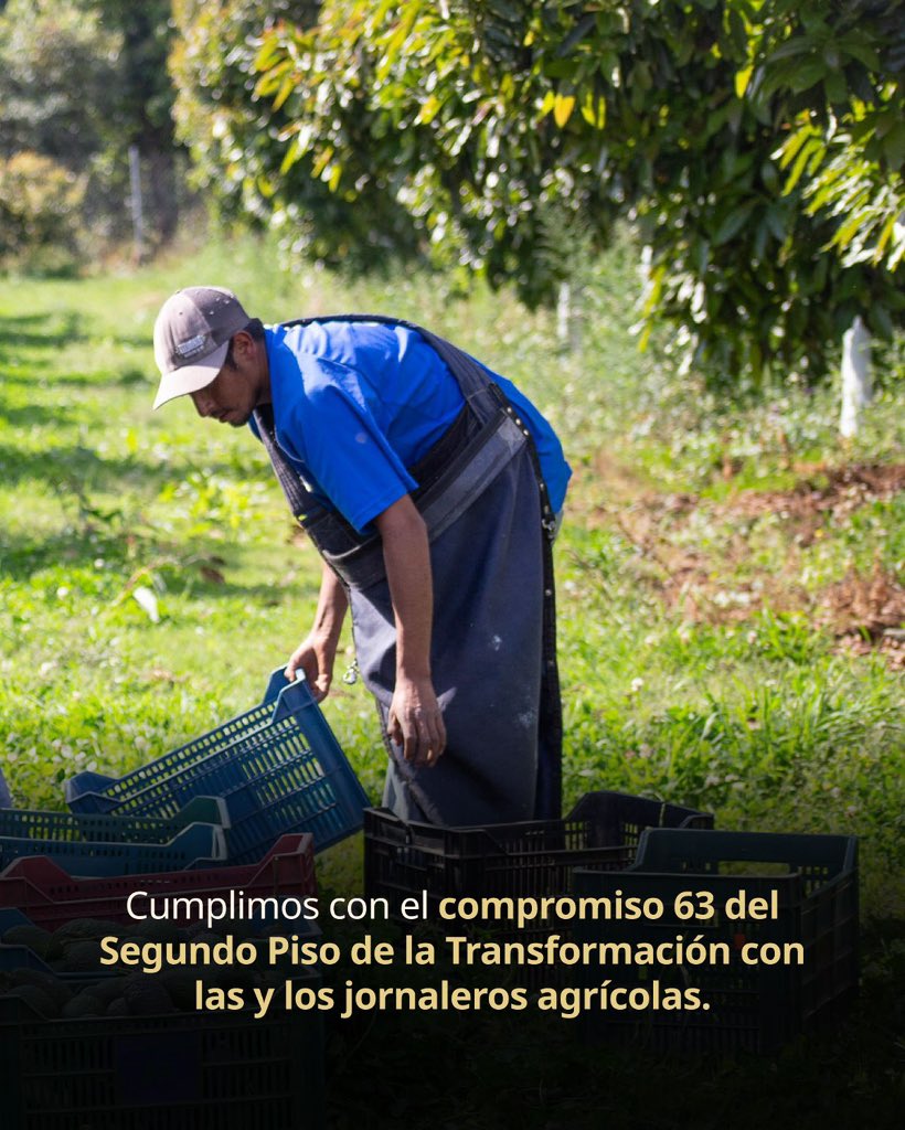 STPS México tweet media