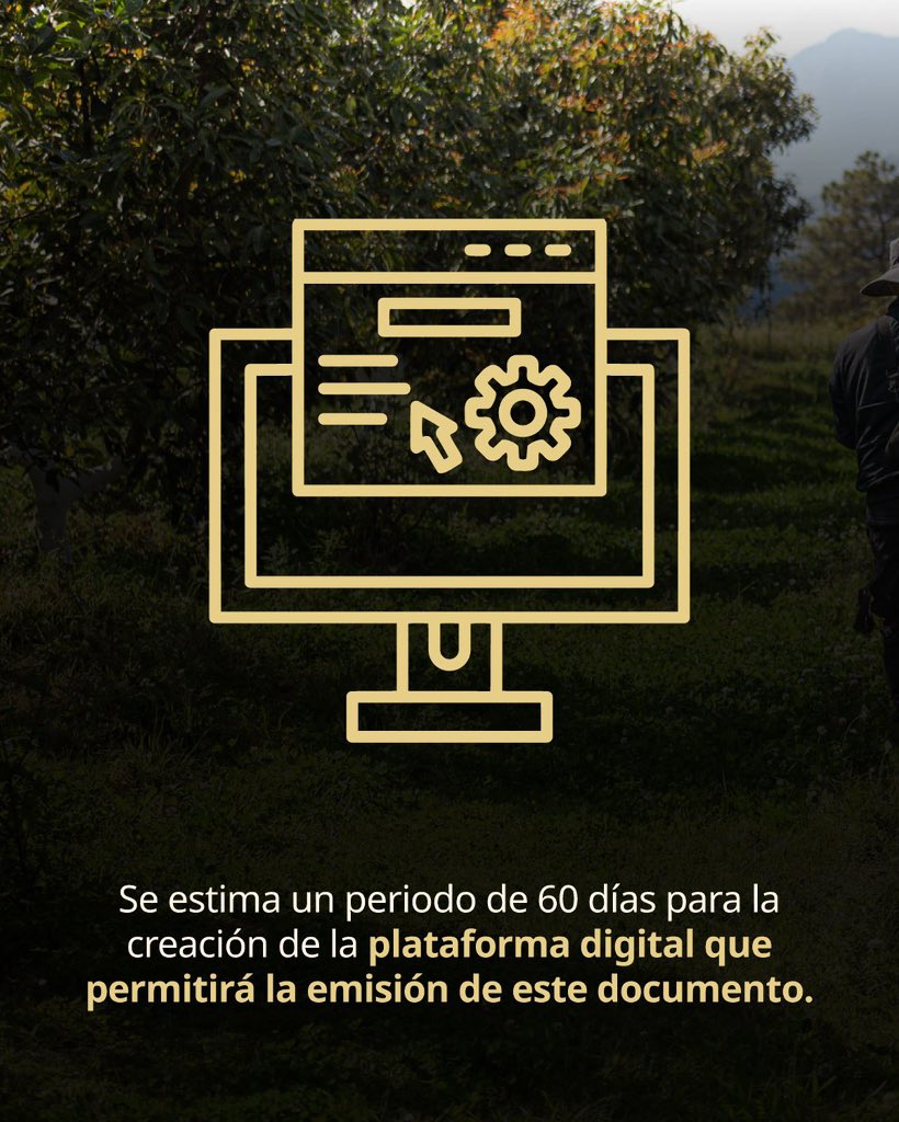 STPS México tweet media