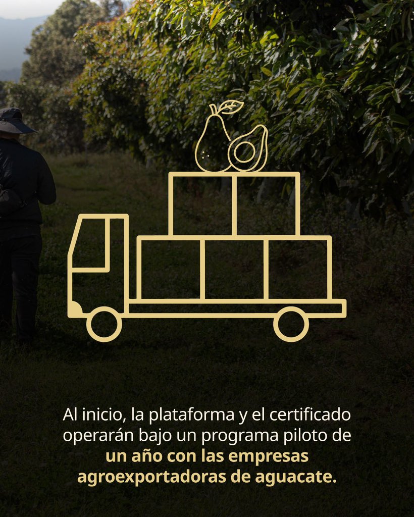 STPS México tweet media