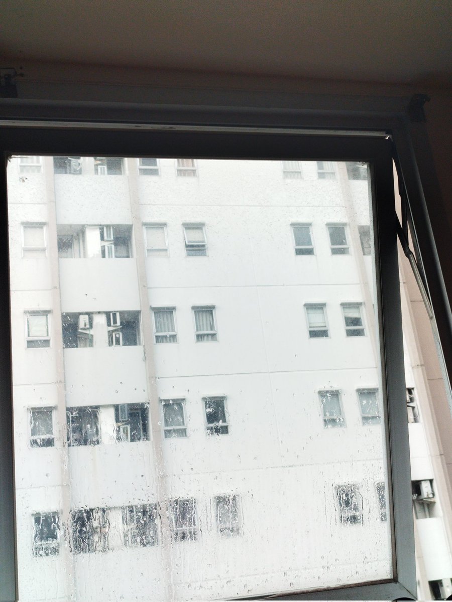 shabrina. 🍀 tweet media