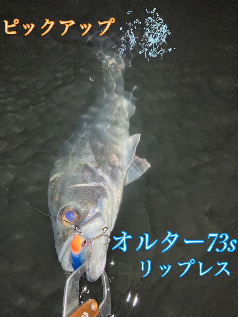 カイト tweet media