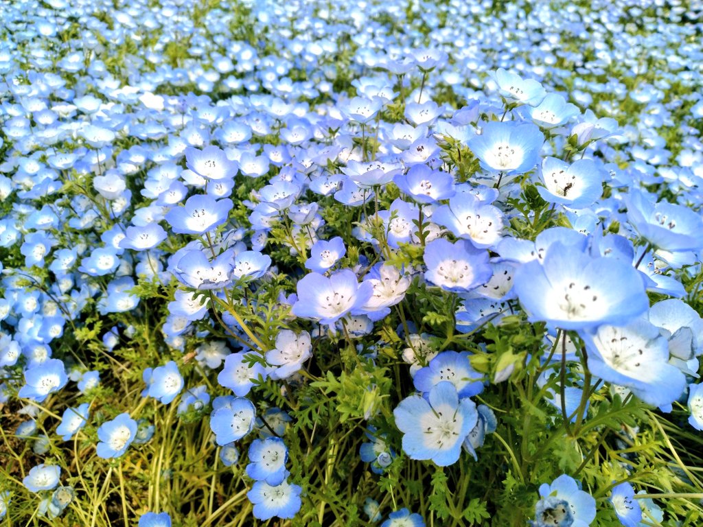 ろんぐ tweet media