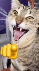 SIEMPRE SERÁN DIMINUTOS PINGÜINOS CULIAOS JAJAJAJAJAJAJAAJAJSJAJSJ #VamosLaU