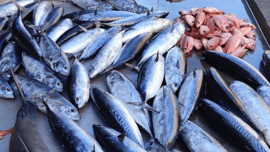 ♡ ♡ رانيا بركات ♡ ♡ tweet media