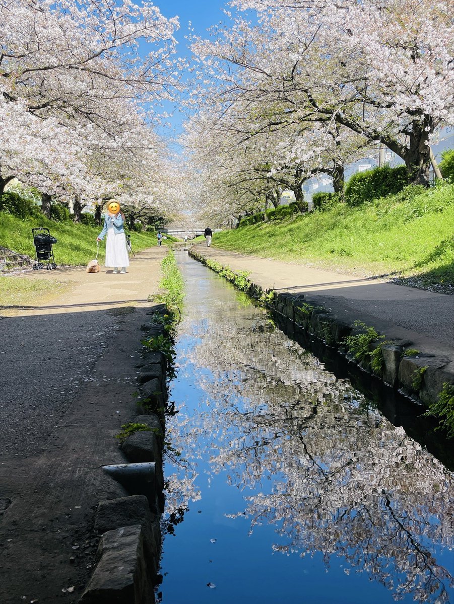 🍀おはようございます🍀