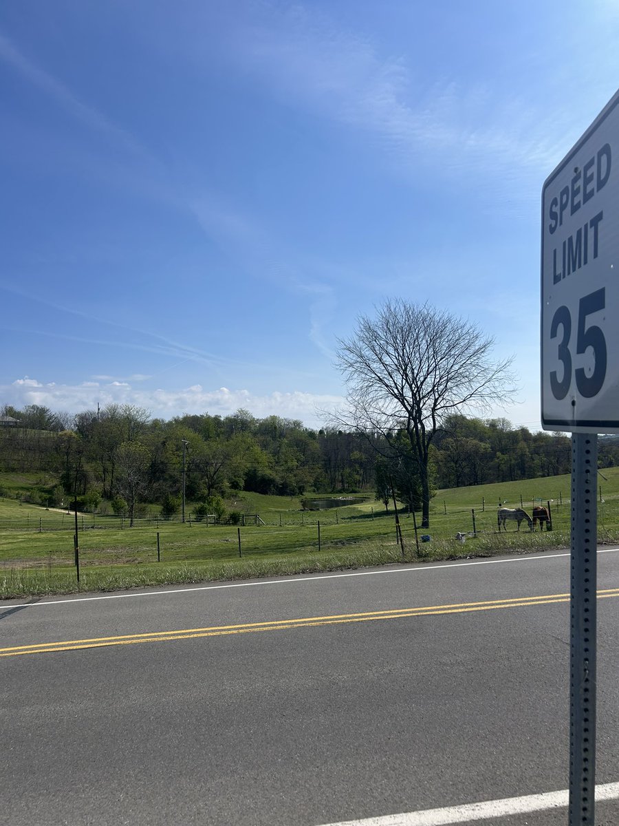 mikemadenew's tweet photo. Lil countryside #walkmaxxing https://t.co/k0pMnYk11Z