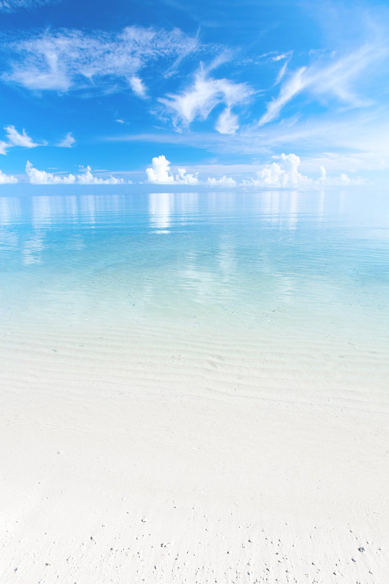 Atsushi 沖縄 Photographer tweet media