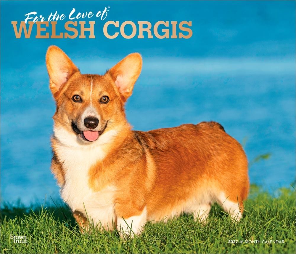 petcalendars's tweet image. The #WelshCorgi was brought to Wales by the Celts. These #dogs have a thick, dense coat and adapt to most climates. They are playful, strong, even-tempered dogs. This wonderful #calendar features both the #Cardigan and #Pembroke breeds of Welsh Corgis. buff.ly/JCd8w3Z