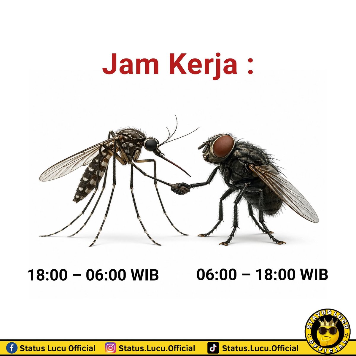 Ketawa itu GRATIS 🛩 tweet media