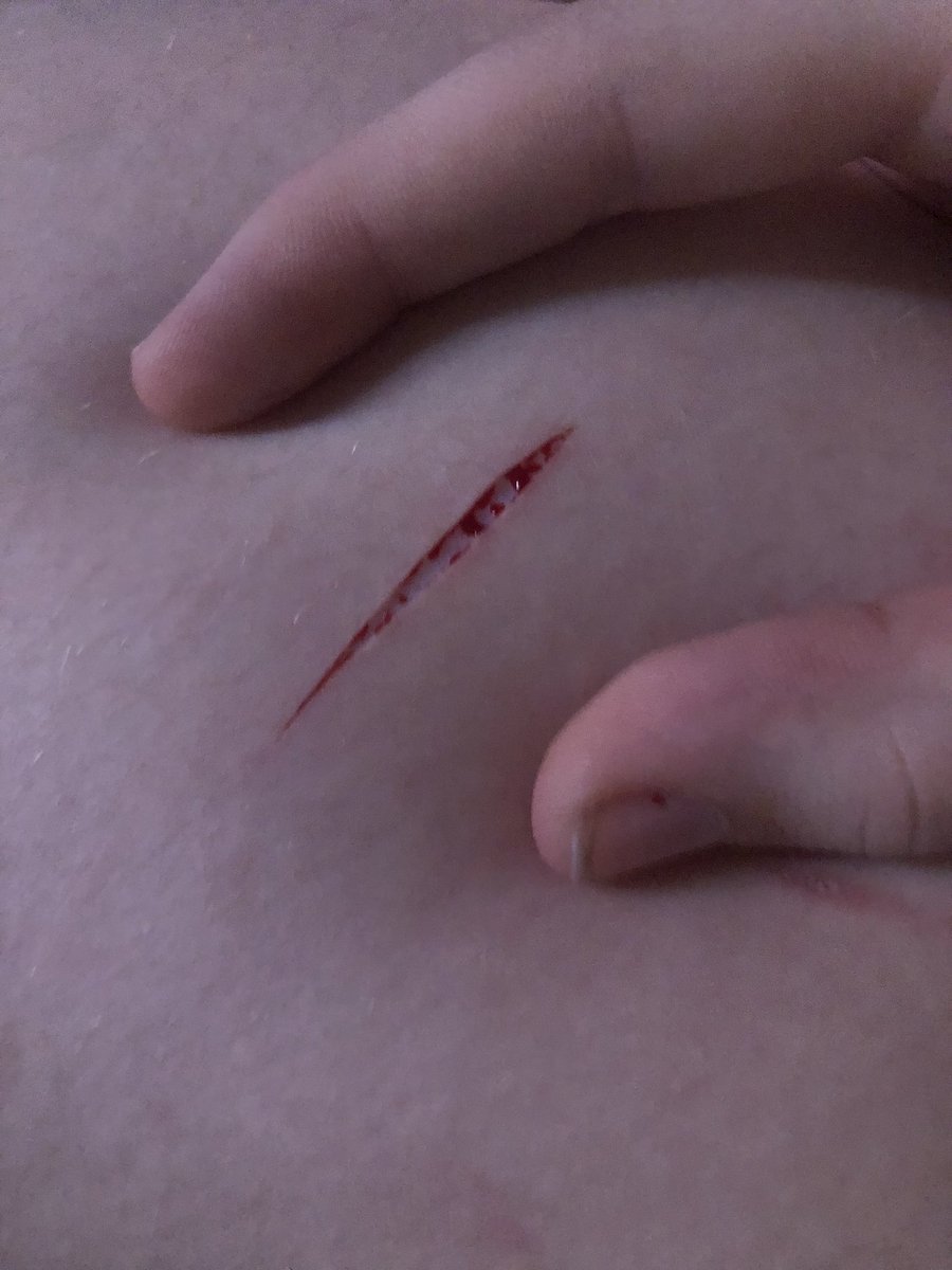 Realme_9873's tweet photo. The cut my irl/ @becshot did on me :3 #shtwt #shedtwt #kai #kairazor #kairazors https://t.co/GPF0wypYJf