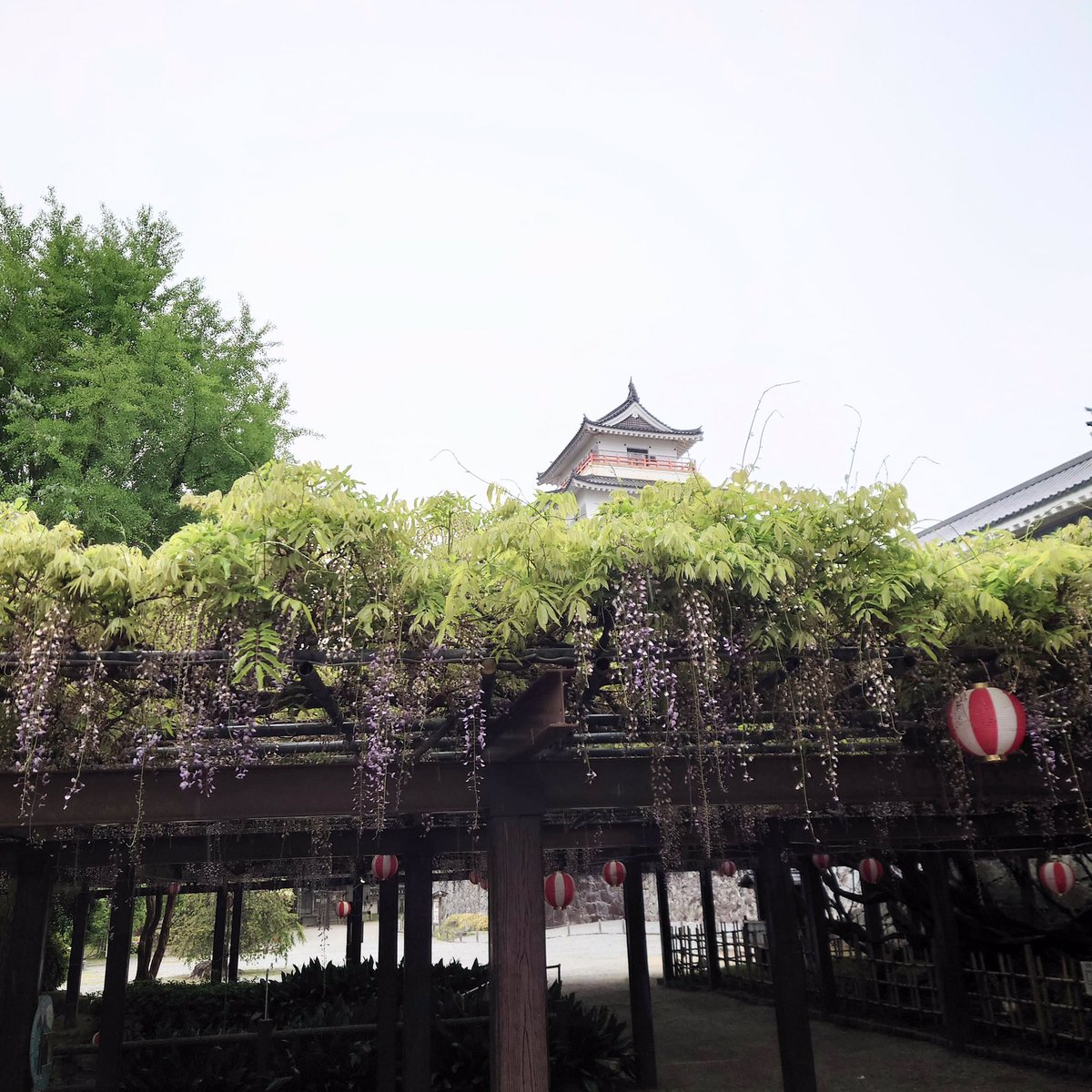 唐津城【公式】 tweet media