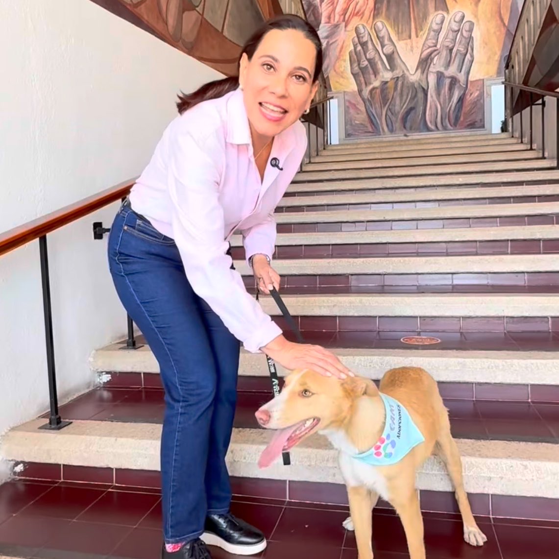 Lucía Hernández | Amo La Ciencia tweet media