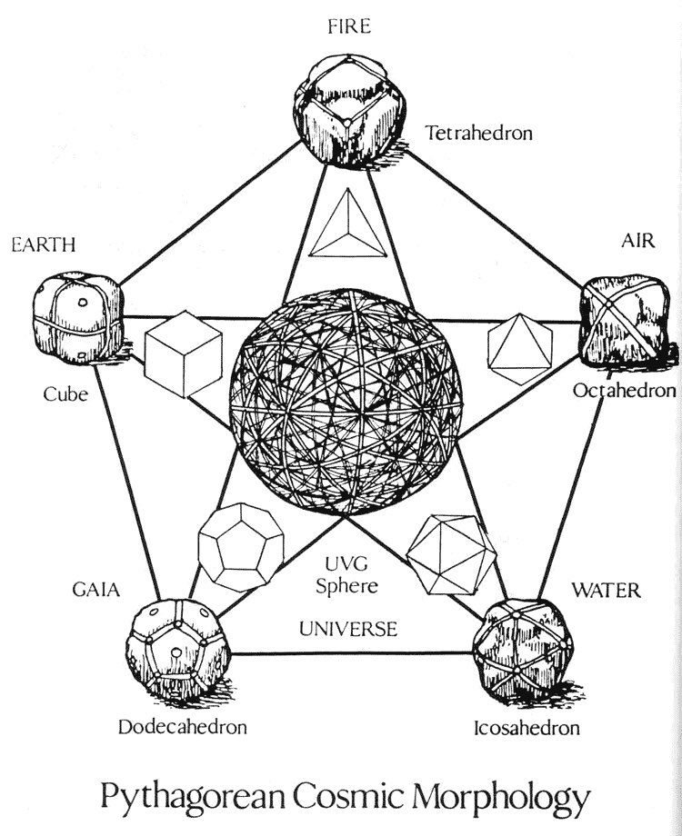 東洋先生 tweet media