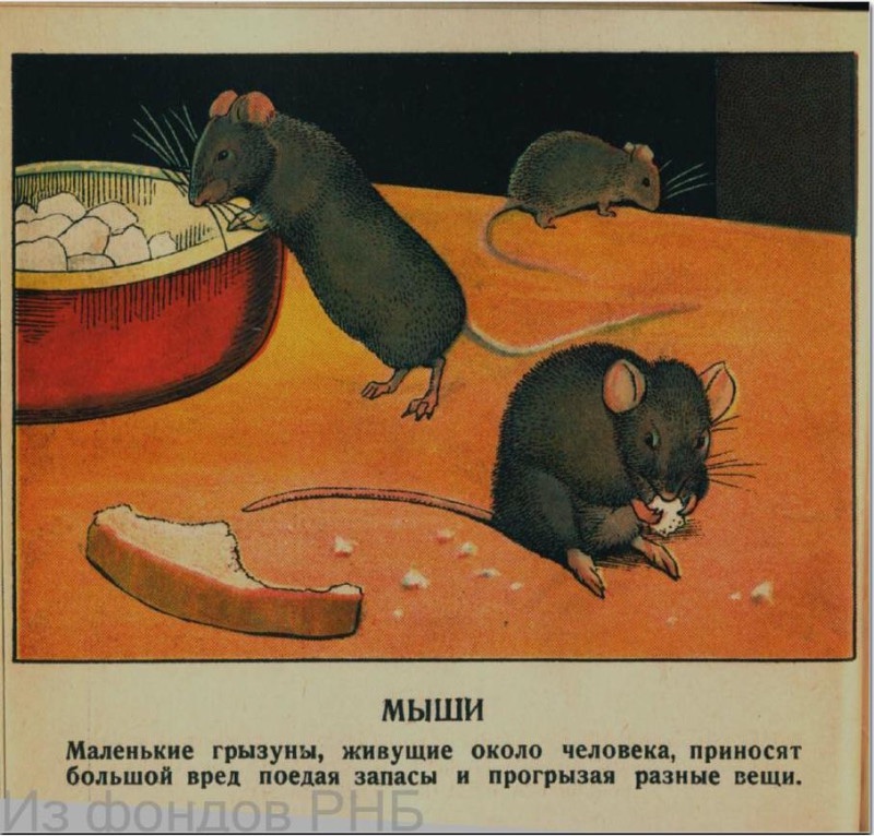 heatonmoorpark's tweet image. Animals and the park……. An analytical framework to understand the problematization of urban (historical) animals    #animals #urban.   doi.org/10.1177/251484…