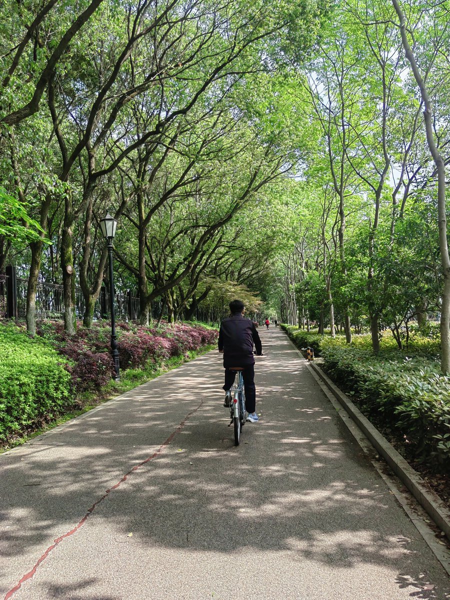 haijunlihjl's tweet image. 微风穿过枝叶，把夏天的第一缕清凉，载进单车的轮子里。
Riding into the breeze, letting the first cool breath of summer carry me along the tree-lined path.
#CyclingLife #NatureVibes #SummerBreeze