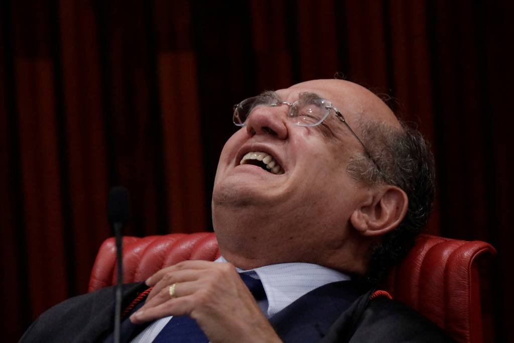 Fernanda Salles tweet media