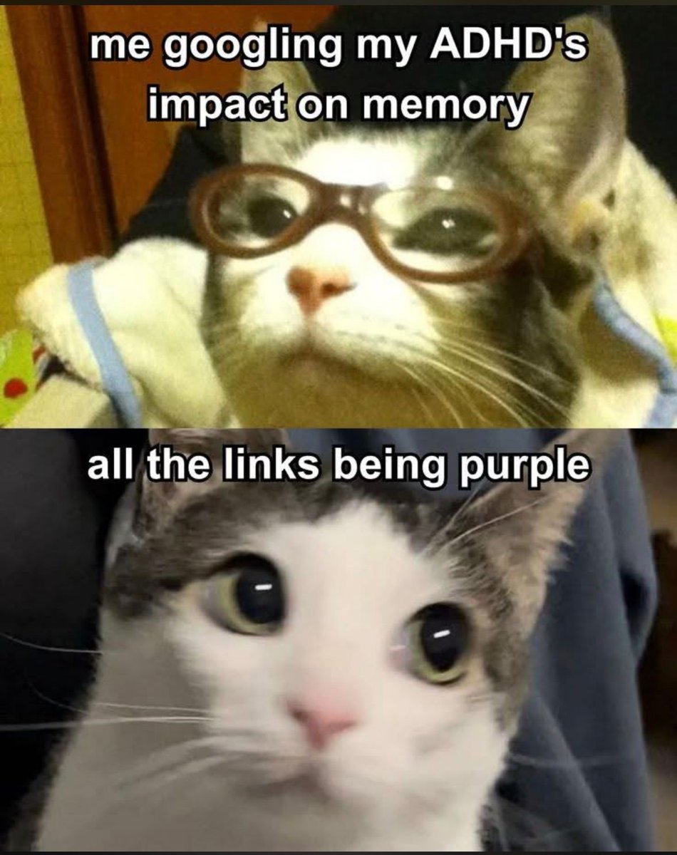 ADHD Memes tweet media