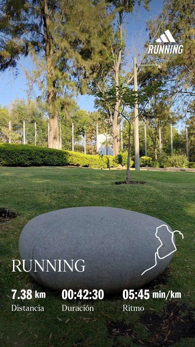 CsarEfrain's tweet photo. #Asicsrun #Asicsméxico #templorunner #yoelegicorrer #manicomiorunner #running_o_que 🏃‍♂️🏃‍♂️🏃‍♂️ https://t.co/rTuUqepbEa