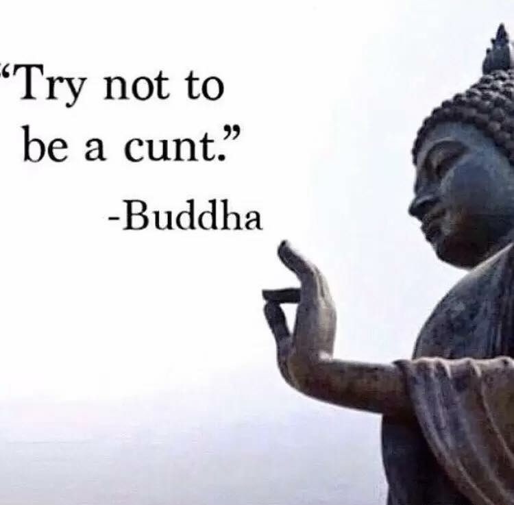 somewhat reasonable professor tweet media