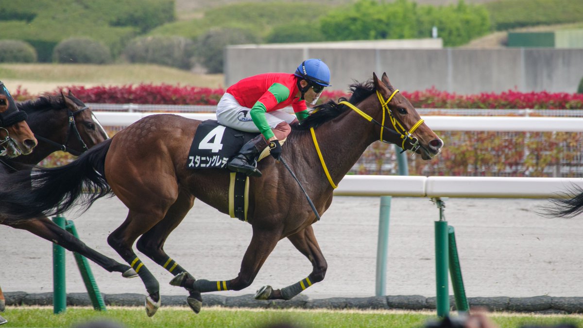 ユーキ tweet media