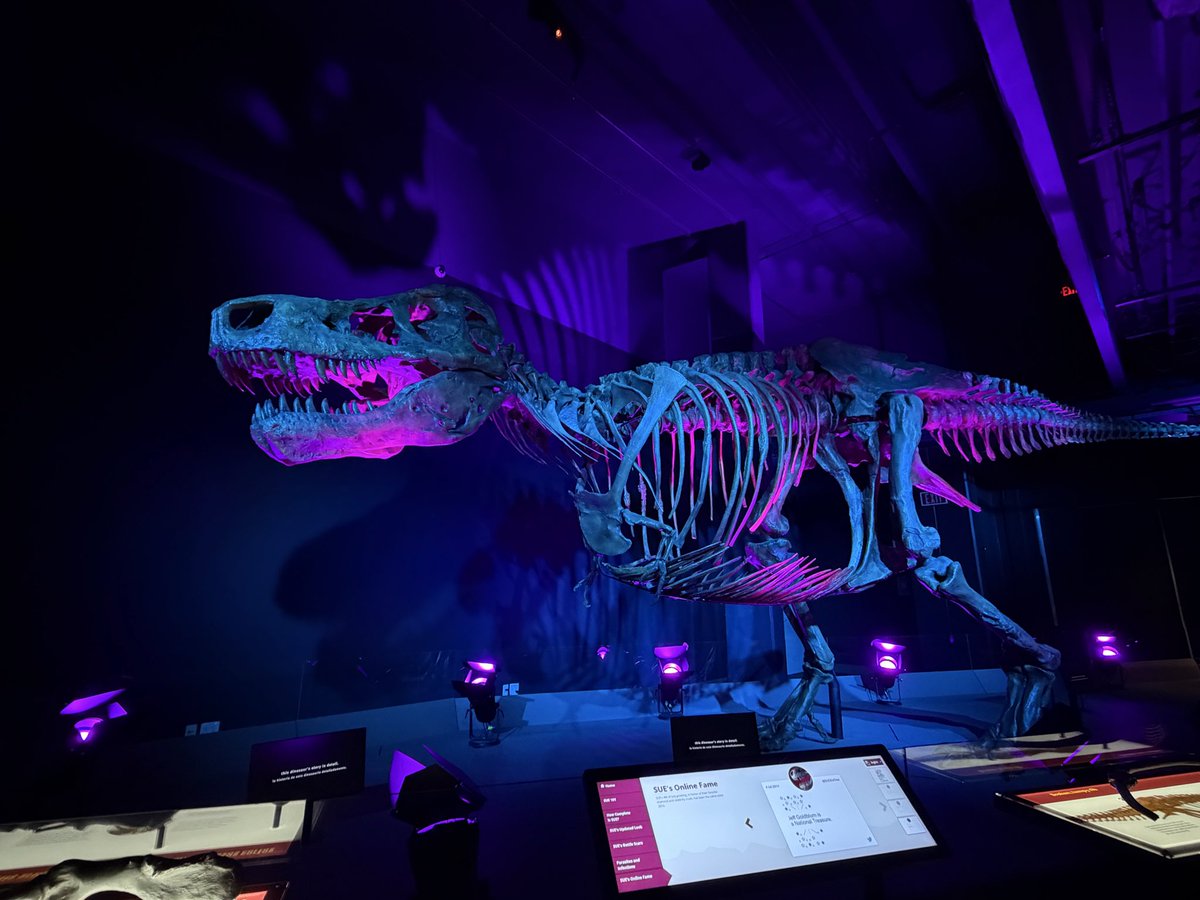 Erica🦕 tweet media