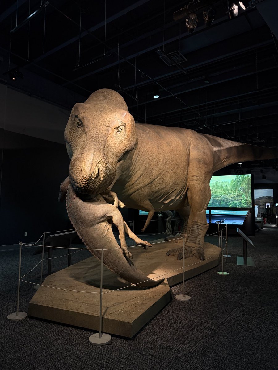 Erica🦕 tweet media