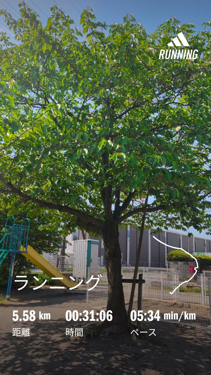 光で笑顔を作る会社ワイ・エス・エムの2代目社長 八島哲也 tweet media