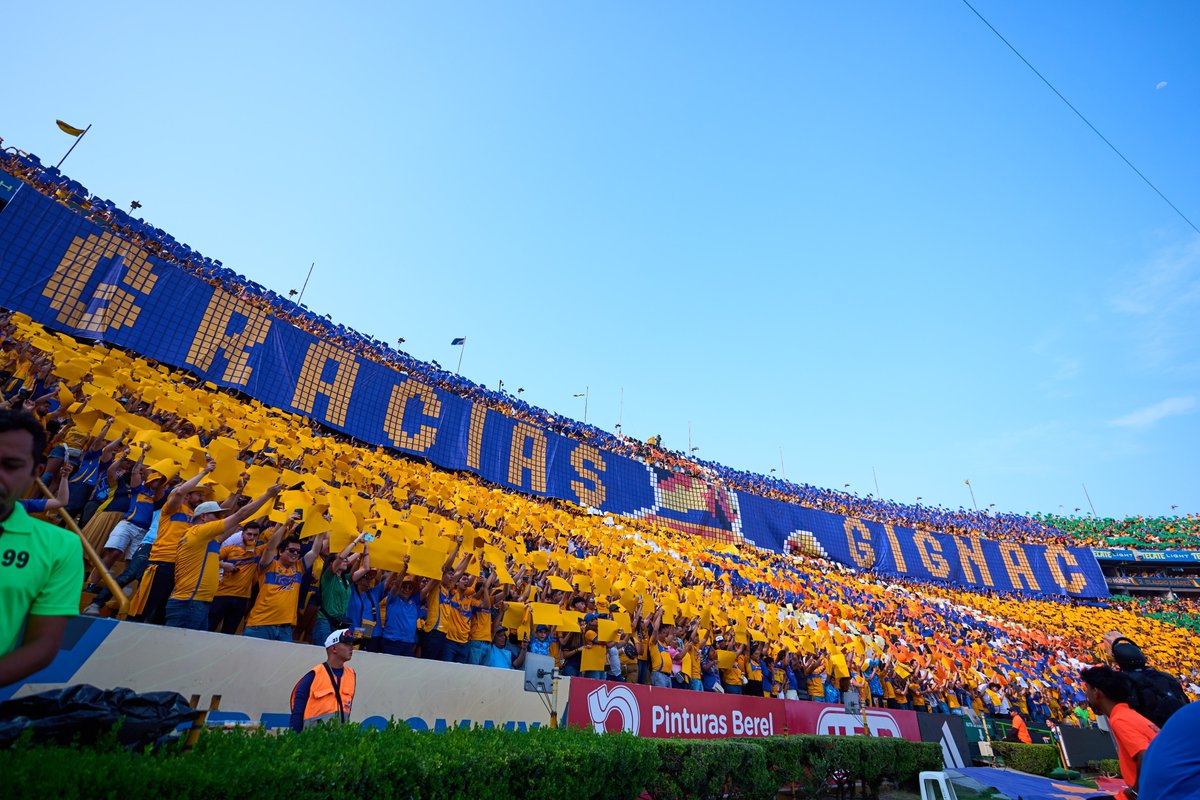 Club Tigres 🐯 tweet media