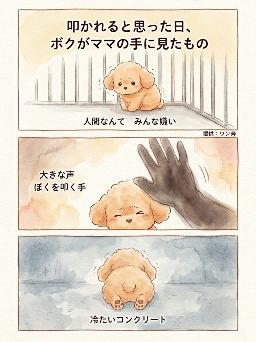 わんわん物語@ワン寿 tweet media