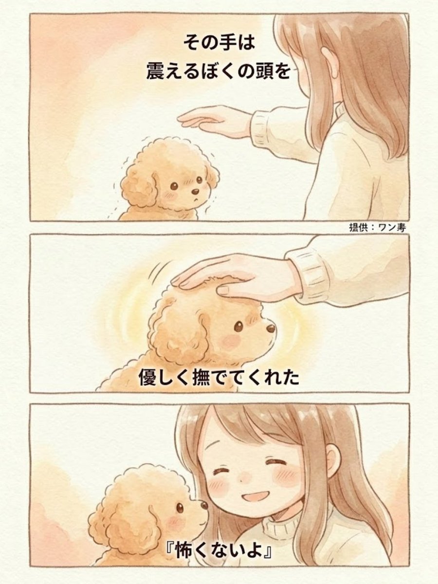 わんわん物語@ワン寿 tweet media