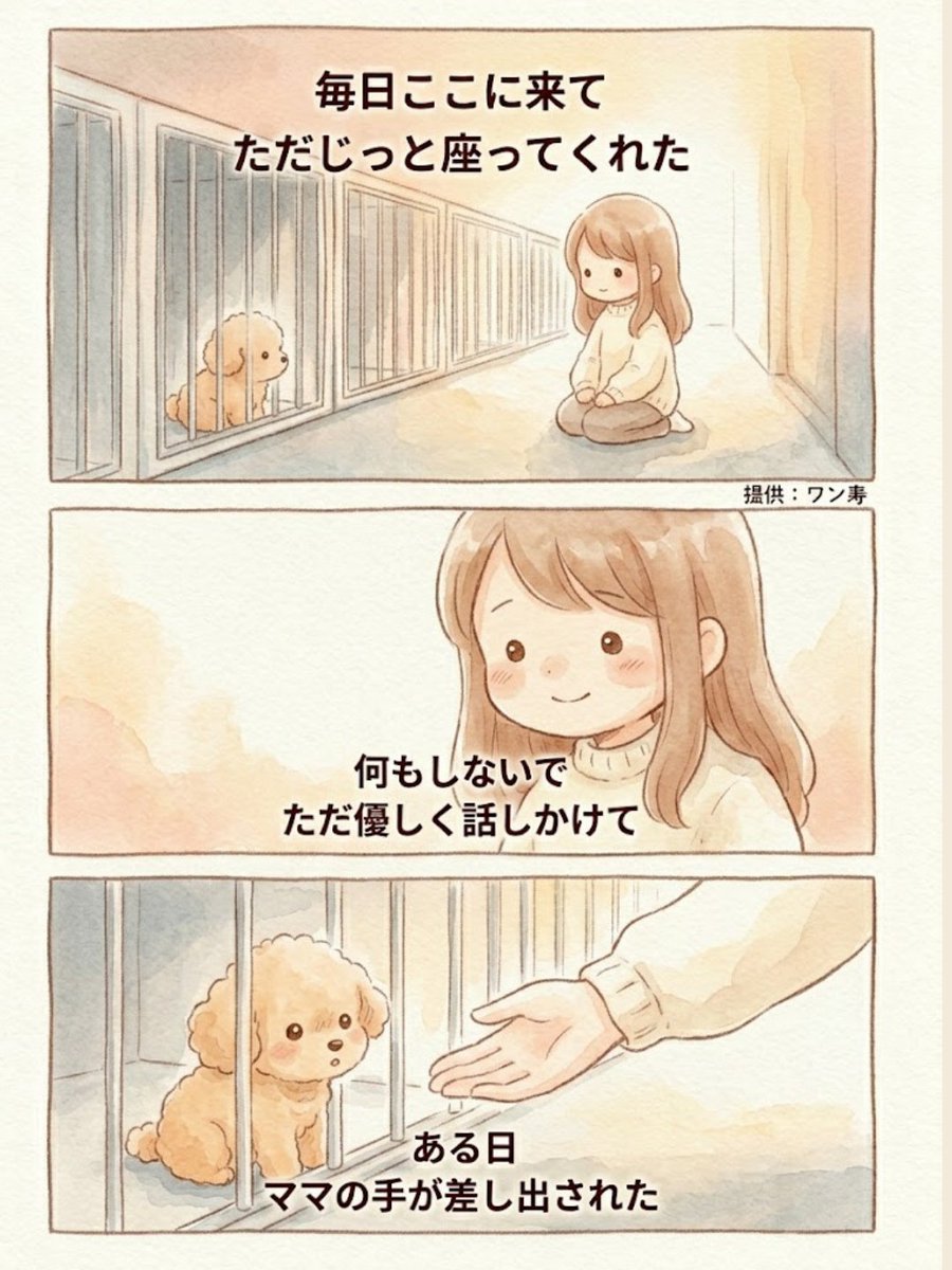 わんわん物語@ワン寿 tweet media