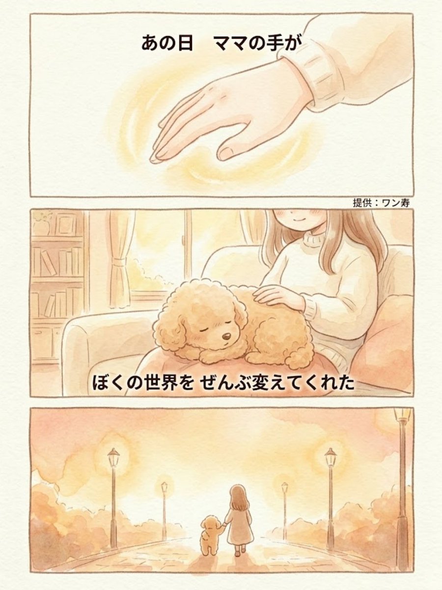 わんわん物語@ワン寿 tweet media