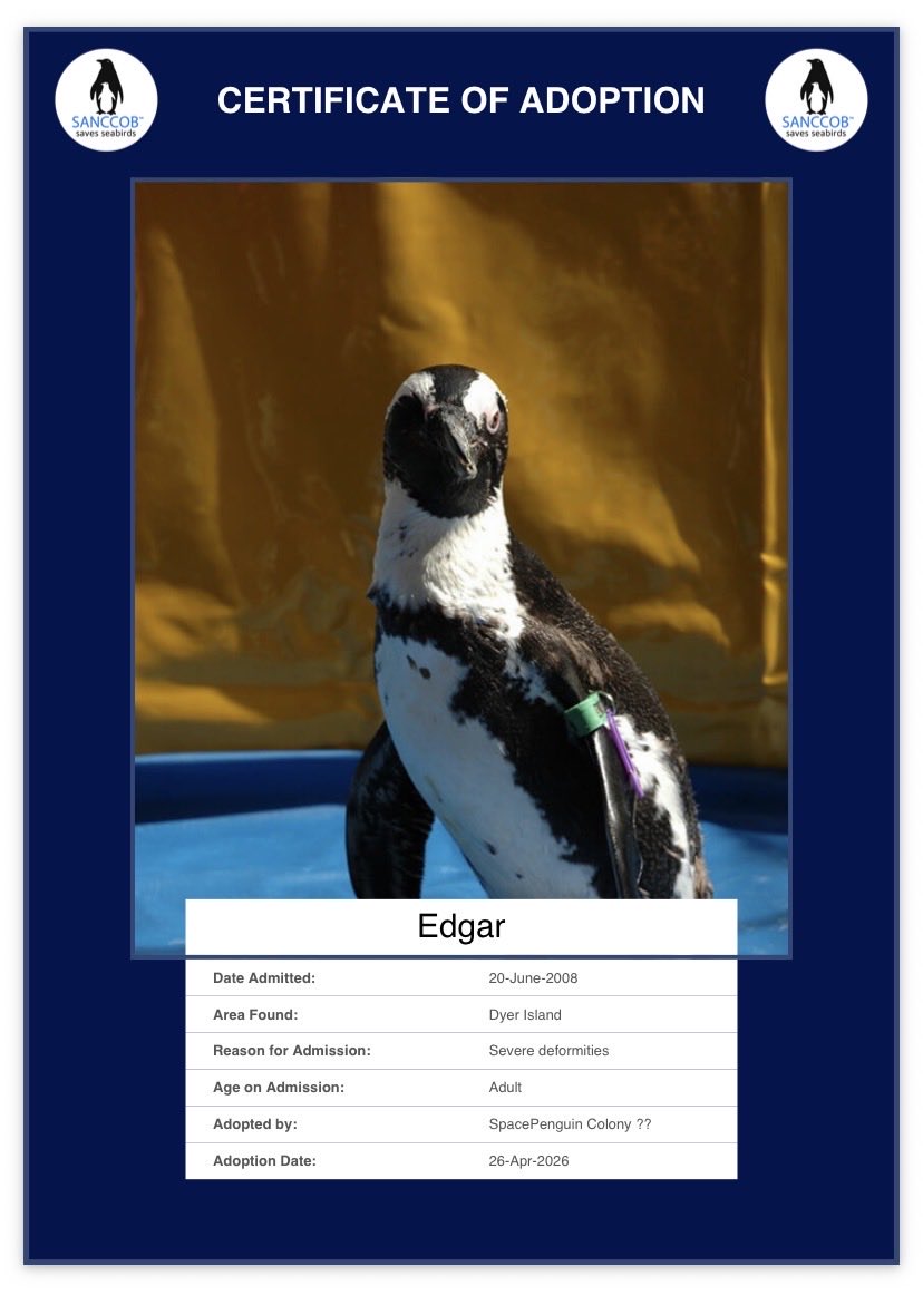 Space Penguin tweet media