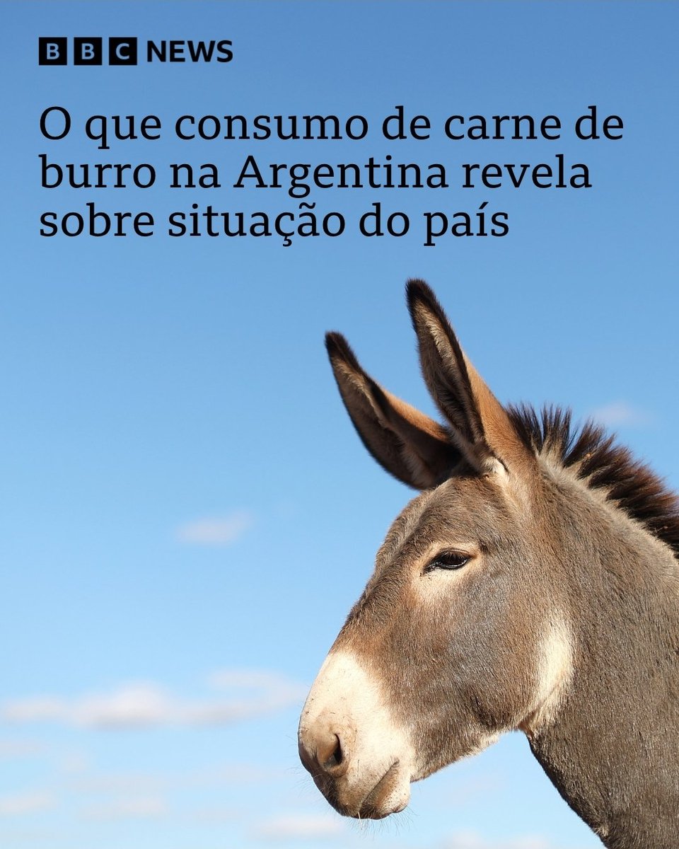 Revela que votar na extrema direita é burrice.