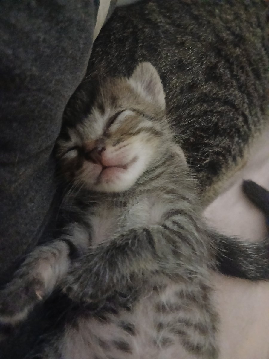 Aish Ainsworth Renault🧙‍♀️ tweet media