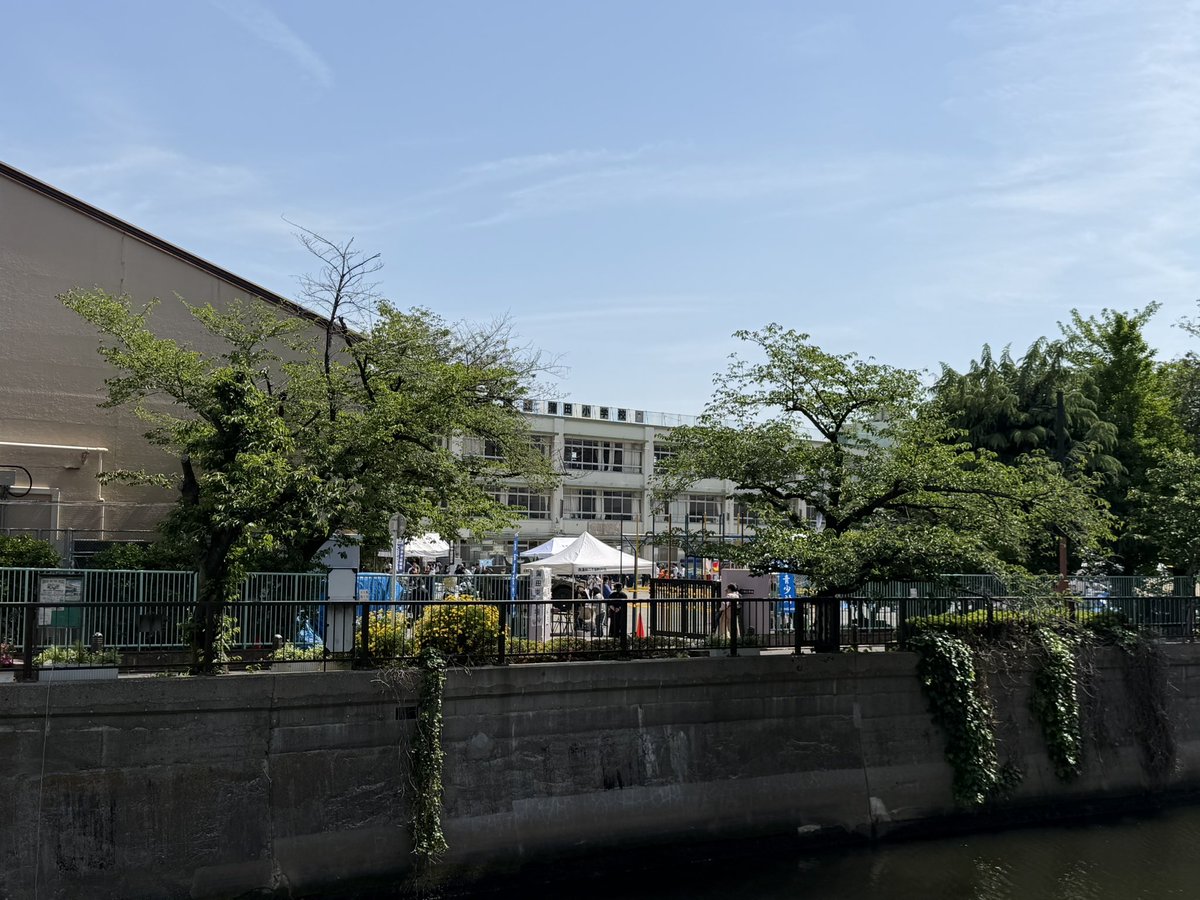 ひらの春望 大田区議会議員 立憲民主党 tweet media