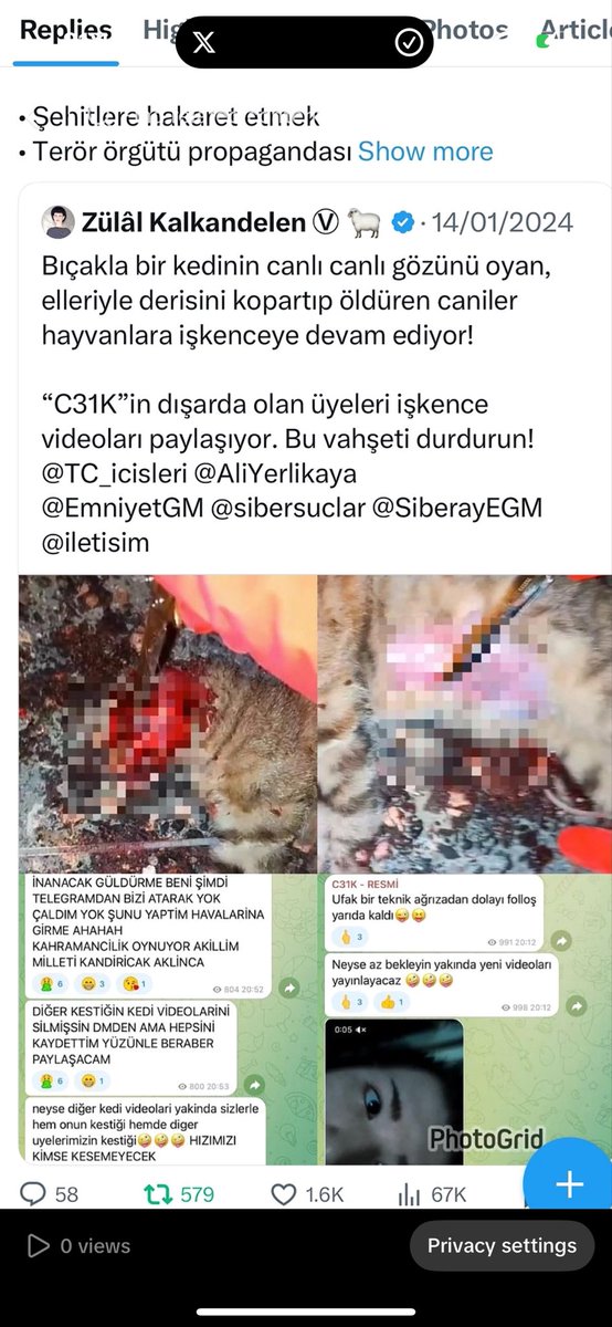 helpdogsinturkey tweet media