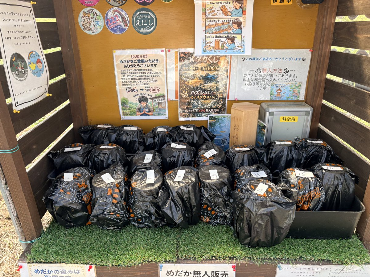 e_vxt's tweet photo. メダカくじ無人販売所にて開催しております🤭
今日はいっぱいあります🤗
場所はゆたと灯月めだか無人販売所で検索🔍
#めだか 
#めだかくじ https://t.co/tnkgXcCglO