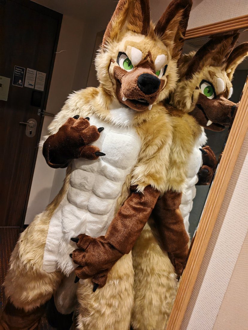 Dau.だぅ tweet media