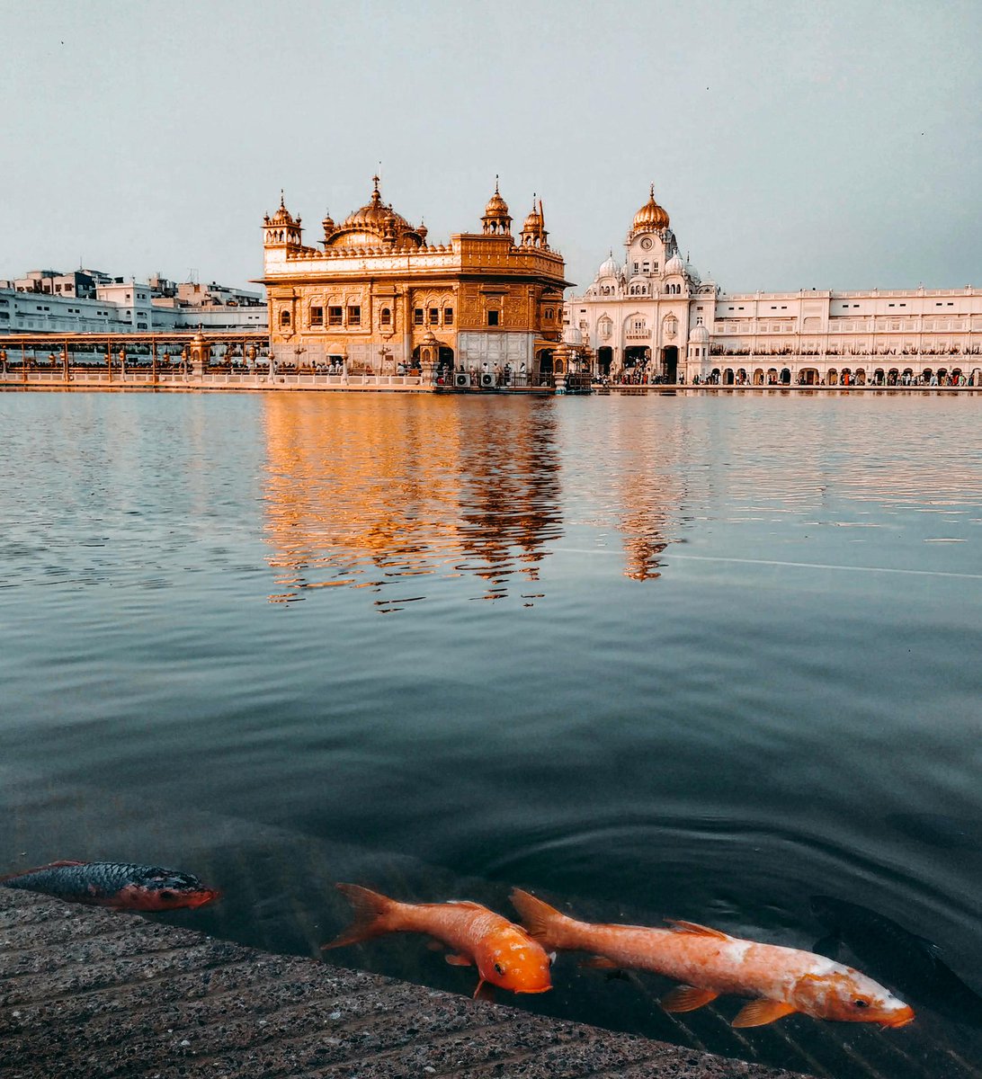 Dr_PB05's tweet photo. ਧੰਨੁ ਧੰਨੁ ਰਾਮਦਾਸ ਗੁਰੁ ਜਿਨਿ ਸਿਰਿਆ ਤਿਨੈ ਸਵਾਰਿਆ ॥
ਪੂਰੀ ਹੋਈ ਕਰਾਮਾਤਿ ਆਪਿ ਸਿਰਜਣਹਾਰੈ ਧਾਰਿਆ ॥ https://t.co/t1zXfJ9y6q