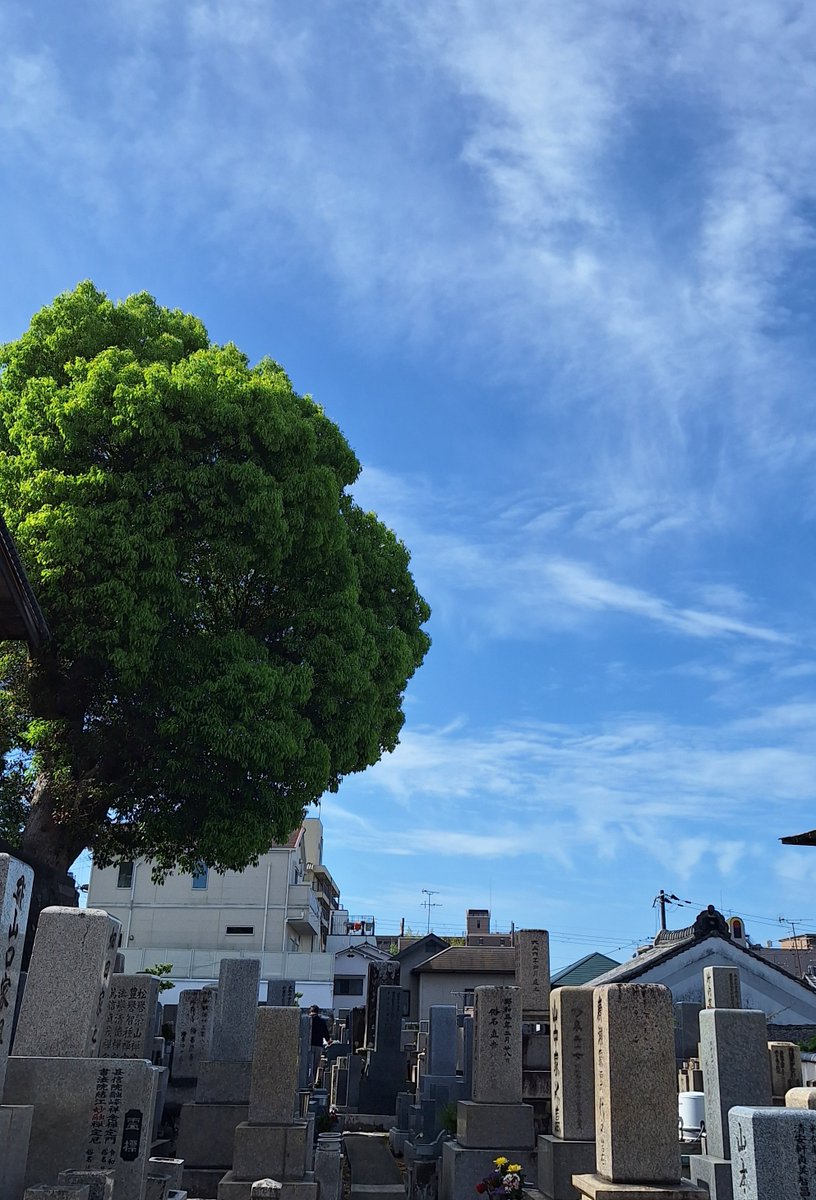 伝道師 tweet media