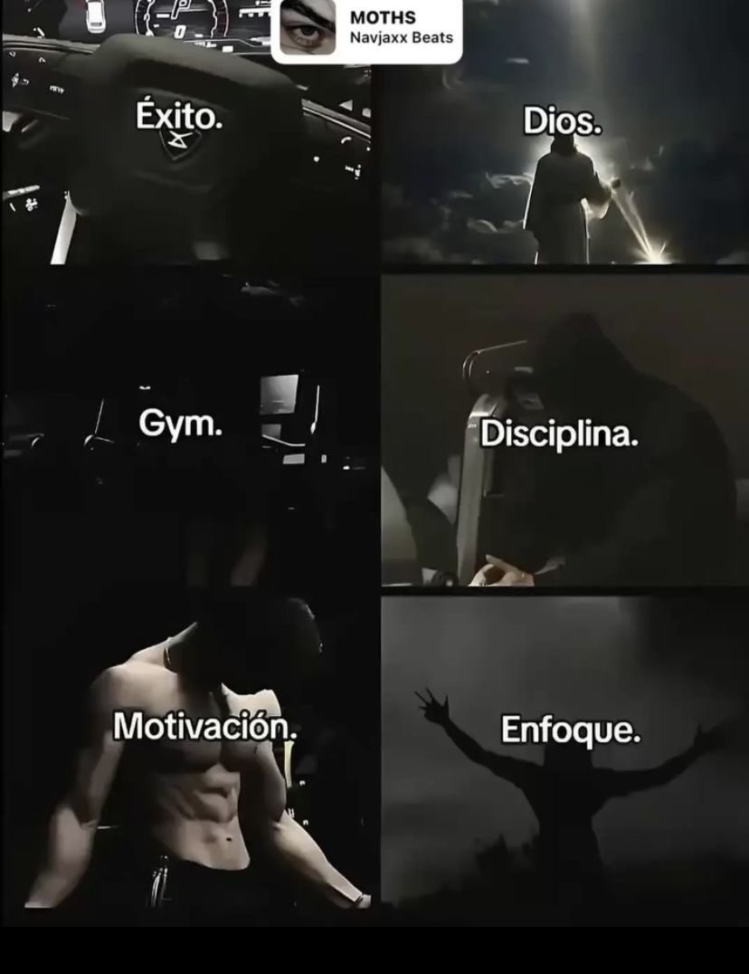 Disciplina tweet media