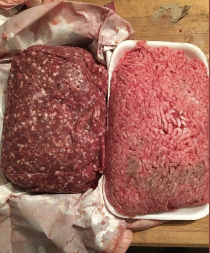 Carnivore Aurelius ©🥩 ☀️🦙 tweet media