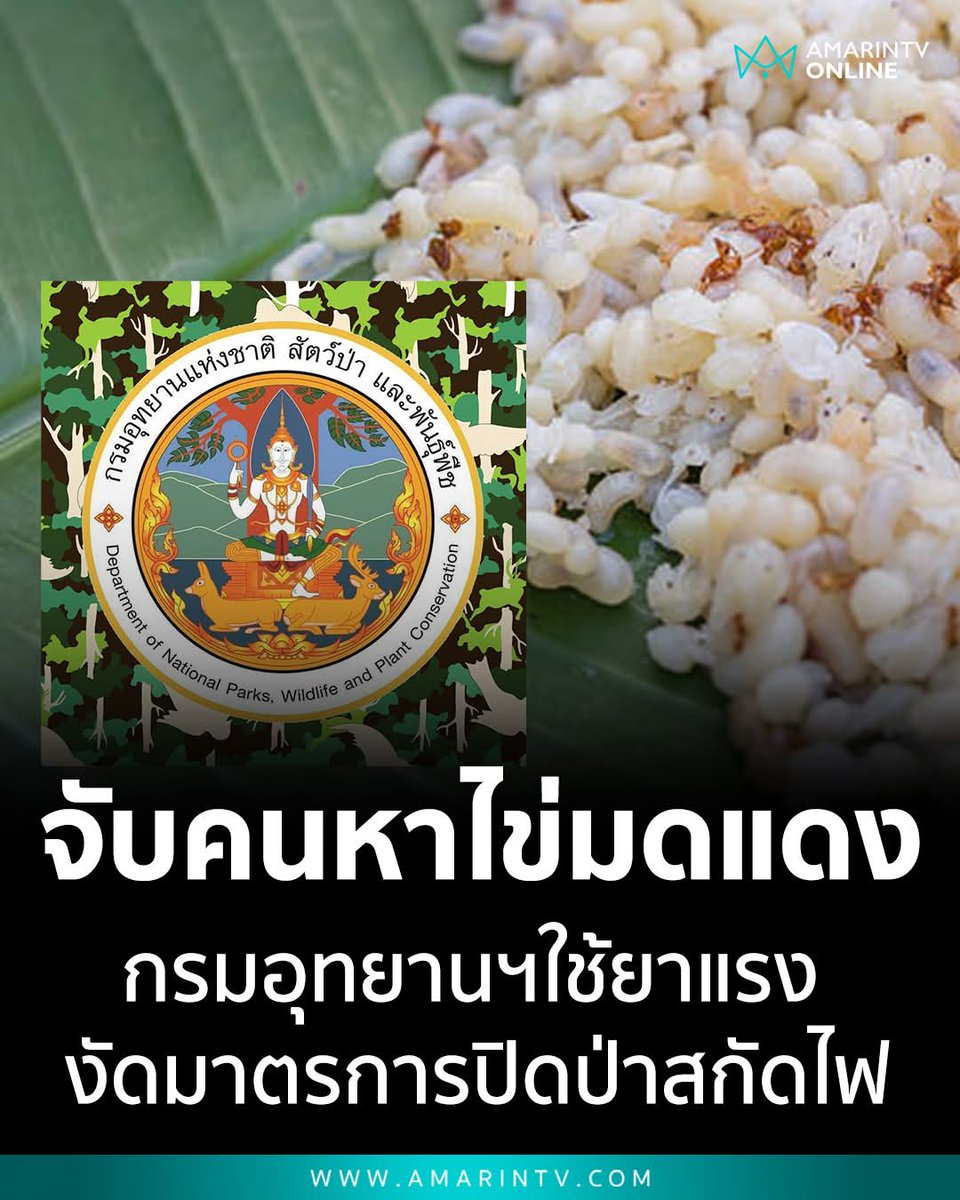 ถือแถน tweet media