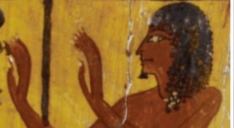 Derpas Jenkens tweet media