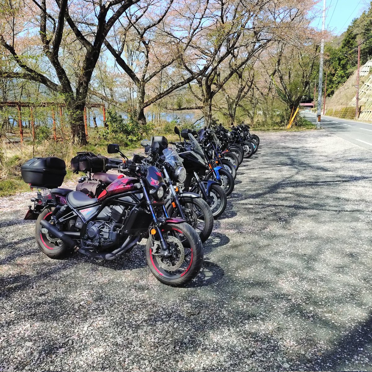 Rebel1100DCT's tweet photo. 4月11日  琵琶湖  海津大崎
毎年恒例 🌸お花見ツーリング
さぶくまさん、いつもありがとうございます
見頃は少しすぎていましたが、散った花びらも  いとをかし
お昼は  敦賀 ヨーロッパ軒でソースカツ丼

メタセコイア https://t.co/8vfb6Q9bV2