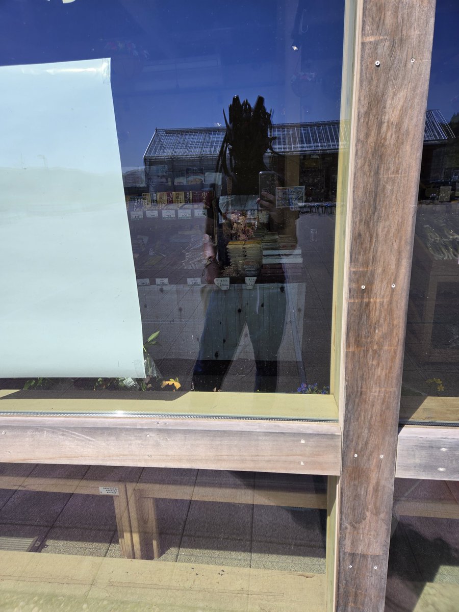 Apitoxer a.k.a. Bee.Bee. tweet media