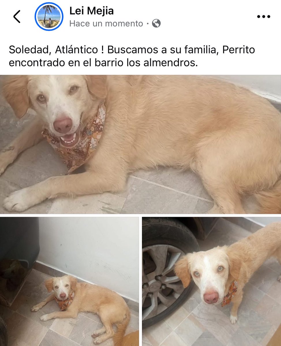 Buscamos a su familia, Soledad Atlántico.