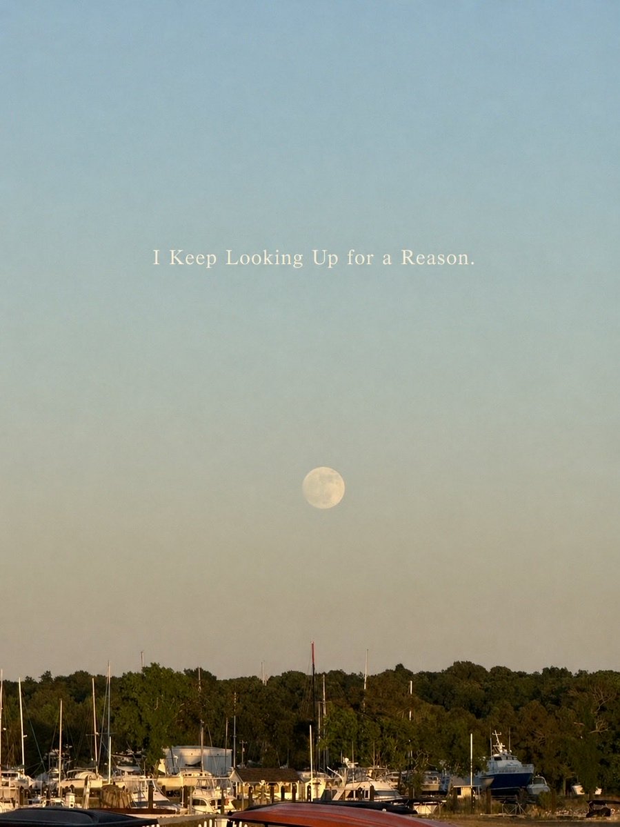 Maggie Lyn OMartin tweet media